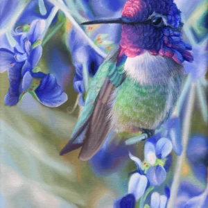 A Costas in Indigo Bush Open Edition Print by James Corwin