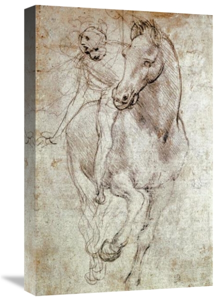 Horse & Rider by Leonardo Da Vinci