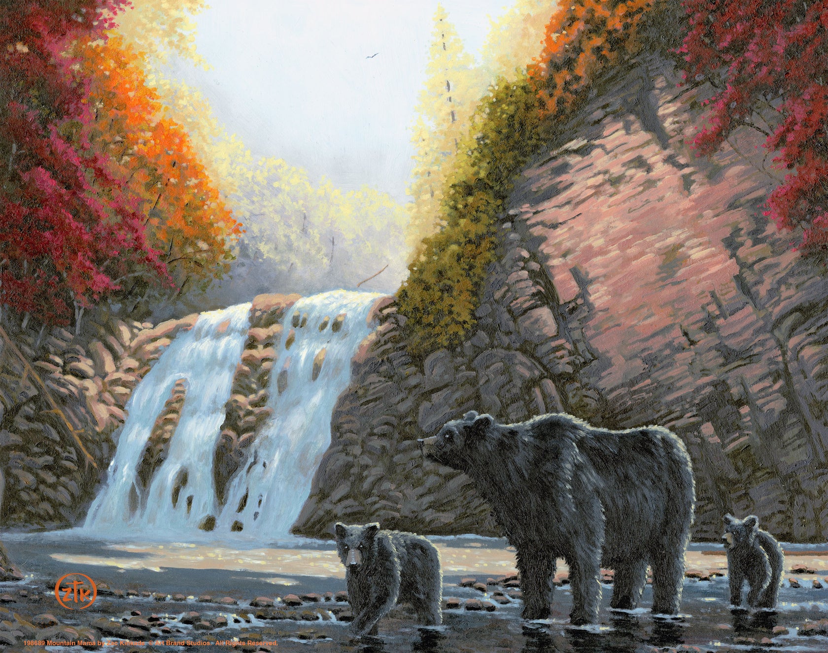 Mountain Mama – Black Bears – Art Print