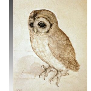 Screech Owl by Albrecht Durer – 16 x 22 in. Premium Museum Wrapped Canvas