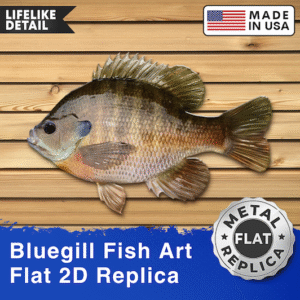 11 Inch 2D Bluegill Replica Art