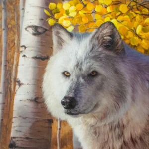 A Crown of Gold - White Wolf in Golden Aspen Leaves - Limited Edition Print by James Corwin