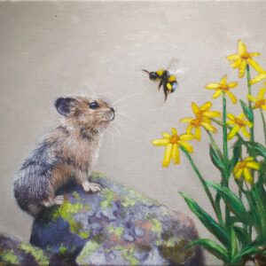 A Pika and a Bumblebee - Curious Friends - Limited Edition Giclee Canvas Print by James Corwin