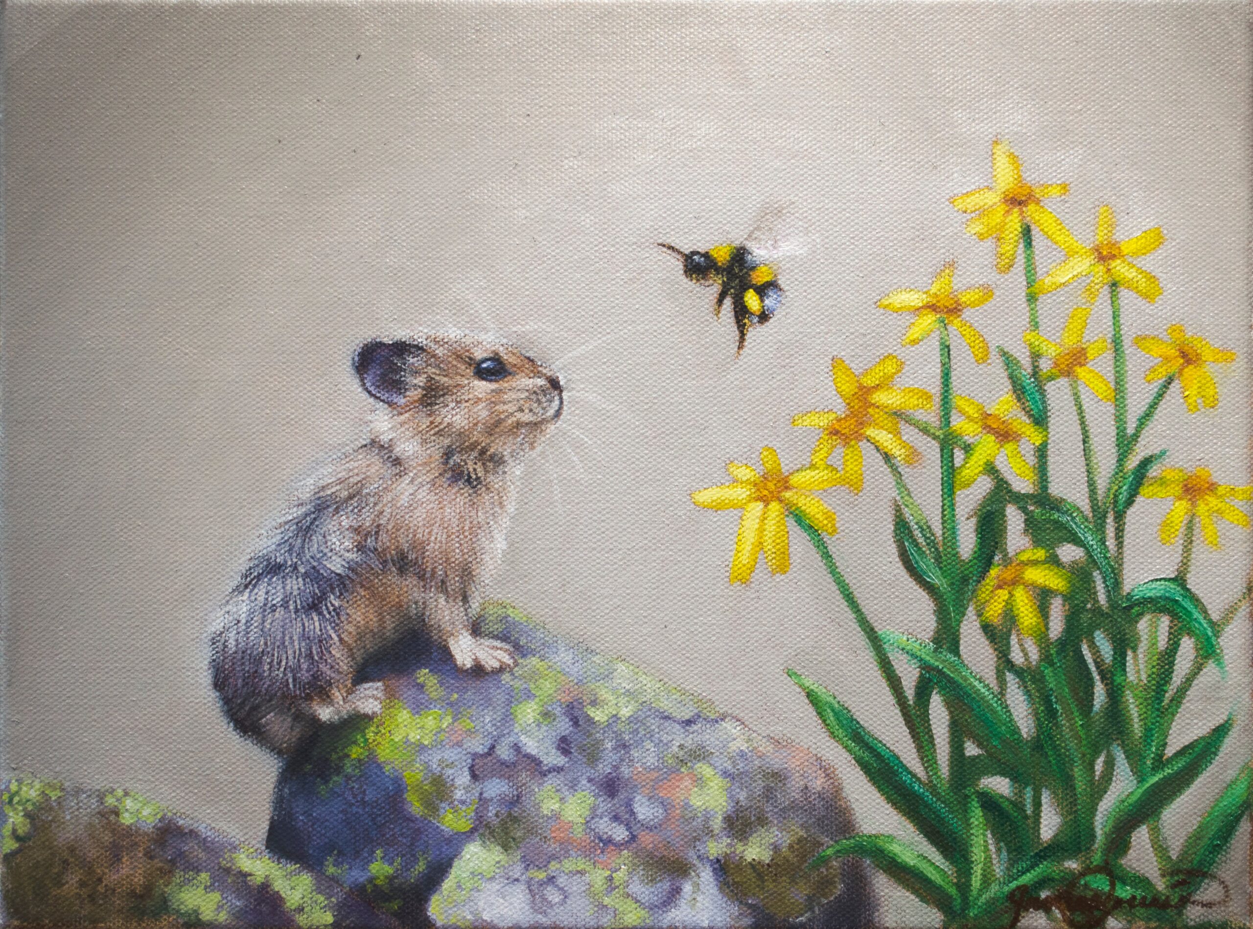 A Pika and a Bumblebee - Curious Friends - Limited Edition Giclee Canvas Print by James Corwin