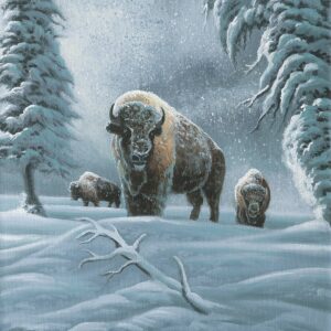 Bison in the Snow – 11″ x 14″ Art Print