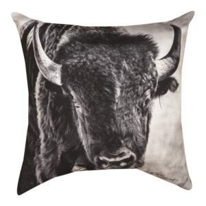 Buffalo Climaweave Pillow 18″ x 18″ (Set of 2)