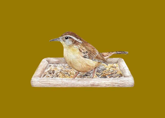 Carolina Wren on Seed Tray Greeting Cards by Nature Notes