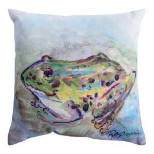 Green Frog Climaweave Pillow 18″ x 18″ (Set of 2)