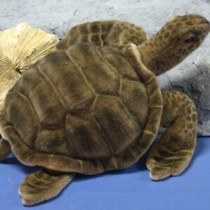 Hansa Sea Tortoise 20''L