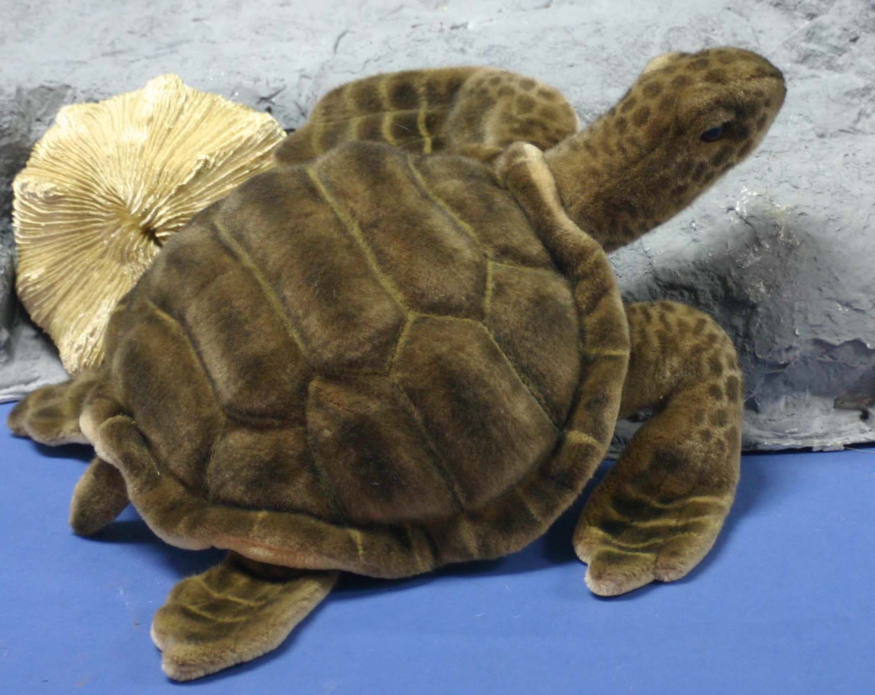 Hansa Sea Tortoise