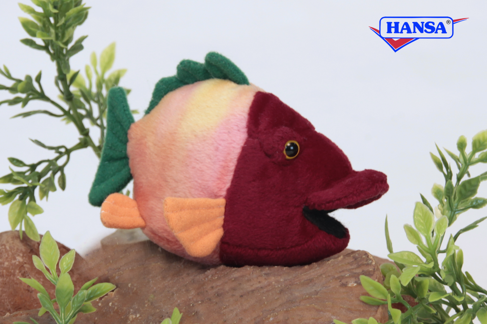 Hansa Tropical Fish