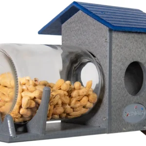 JCS Wildlife Squirrel Under Glass Mason Jar Peanut and Loose Corn Squirrel Feeder