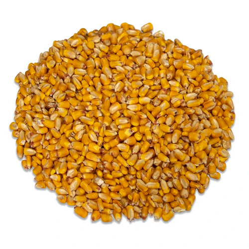 JCs Wildlife Critter Corn