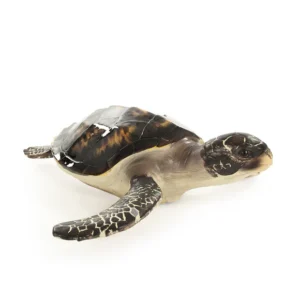 Large Sea Turtle Sculpture