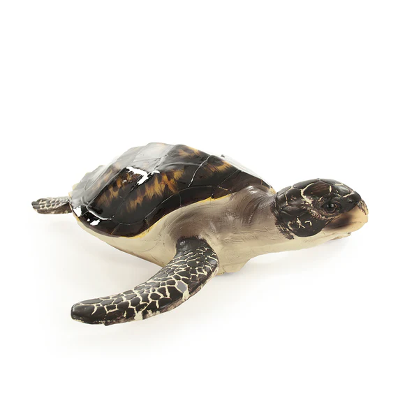 Large Sea Turtle Sculpture