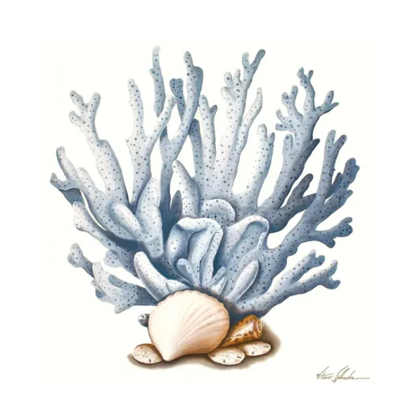 Mare Di Capri Coral