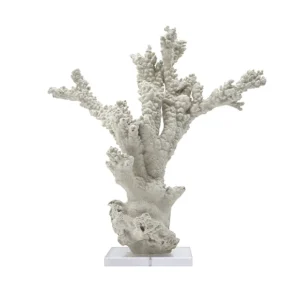 Off-White Resin Coral on Acrylic Base