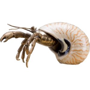 Porcelain Hermit Crab Figurine in Coral with Bronze Ormolu