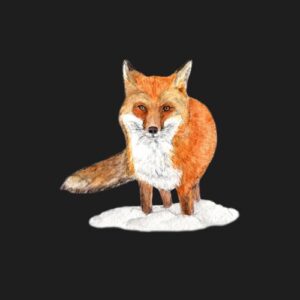 Red Fox in Snow Greeting Cards by Nature Notes