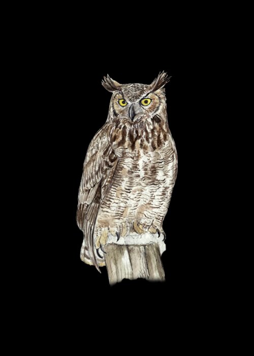 Regal Owl on Wooden Perch Greeting Cards by Nature Notes