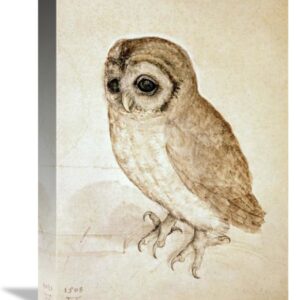 Screech Owl by Albrecht Durer – 11 5/8 x 16 in. Gallery Wrapped Canvas