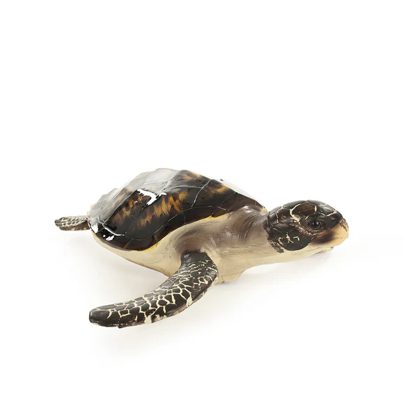 Small Sea Turtle Sculpture