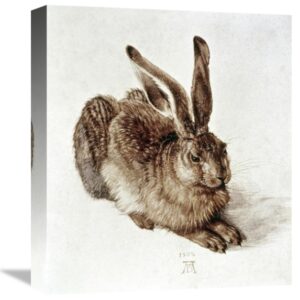 The Young Hare by Albrecht Durer – 14 1/8 x 16 in. Gallery Wrapped Canvas