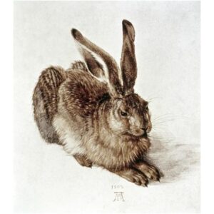 The Young Hare by Albrecht Durer – 14 1/8 x 16 in. Premium Paper Print