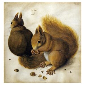 Two Squirrels, One Eating a Hazelnut by Albrecht Durer β 21 1/8 x 22 in. Premium Paper Print