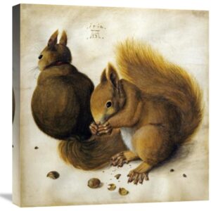 Two Squirrels, One Eating a Hazelnut by Albrecht Durer – 21 1/8 x 22 in. Gallery Wrapped Canvas