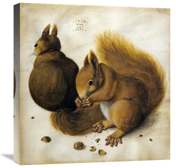 Two Squirrels, One Eating a Hazelnut by Albrecht Durer