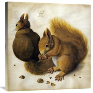 Two Squirrels, One Eating a Hazelnut by Albrecht Durer – 28 7/8 x 30 in. Gallery Wrapped Canvas
