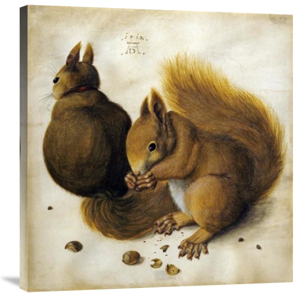 Two Squirrels, One Eating a Hazelnut by Albrecht Durer