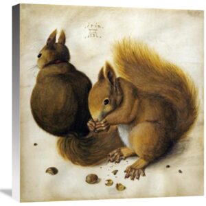 Two Squirrels, One Eating a Hazelnut by Albrecht Durer – 21 1/8 x 22 in. Premium Museum Wrapped Canvas