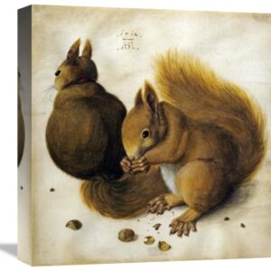 Two Squirrels, One Eating a Hazelnut by Albrecht Durer – 15 3/8 x 16 in. Gallery Wrapped Canvas