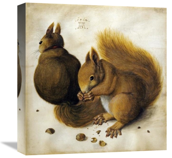 Two Squirrels, One Eating a Hazelnut by Albrecht Durer