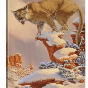Balance Rock - Cougar - 36" x 24" Gallery Wrapped Canvas