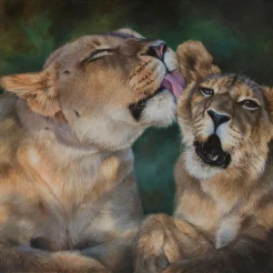 Bath Time - African Lioness and Cub - Limited Edition Giclee Canvas Print by James Corwin