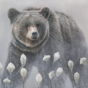 Beargrass - Grizzly Bear - Limited Edition Giclee Canvas Print by James Corwin