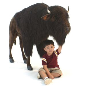 Hansa Bison Buffalo Ride-on, 66.3"L x 47"H