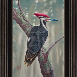 Knock Wood - Pileated Woodpecker - Limited Edition Canvas