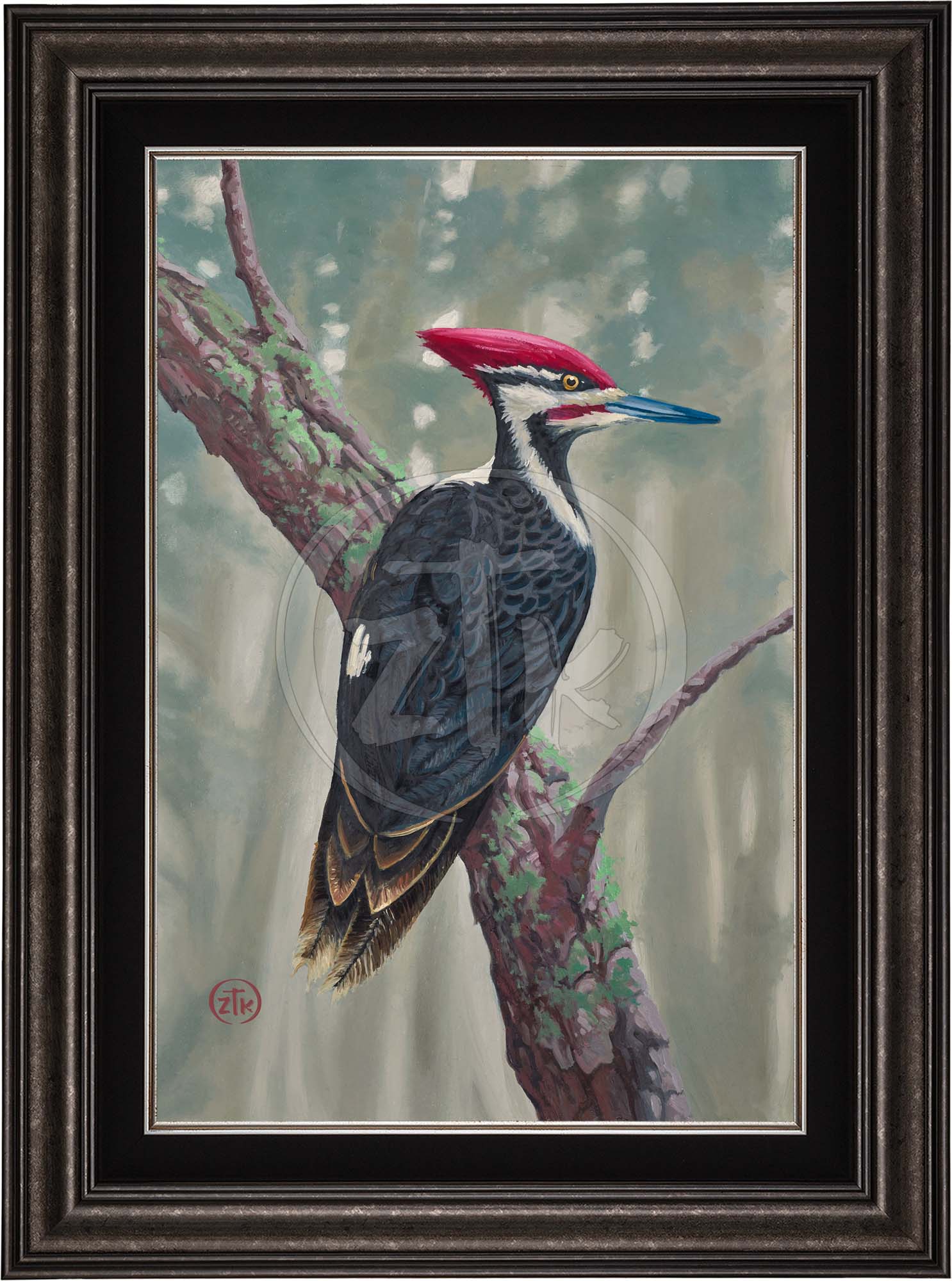 Knock Wood - Pileated Woodpecker - Limited Edition Canvas