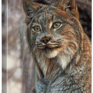 Snow Queen - Lynx - 18" x 13" Gallery Wrapped Canvas