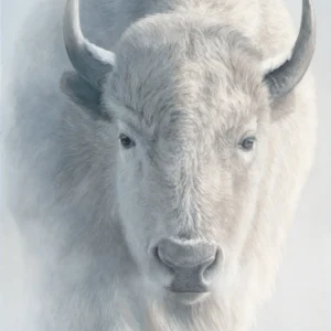 The Omen - A Sacred White Bison in Winter Snow - Limited Edition Giclee Canvas Print by James Corwin