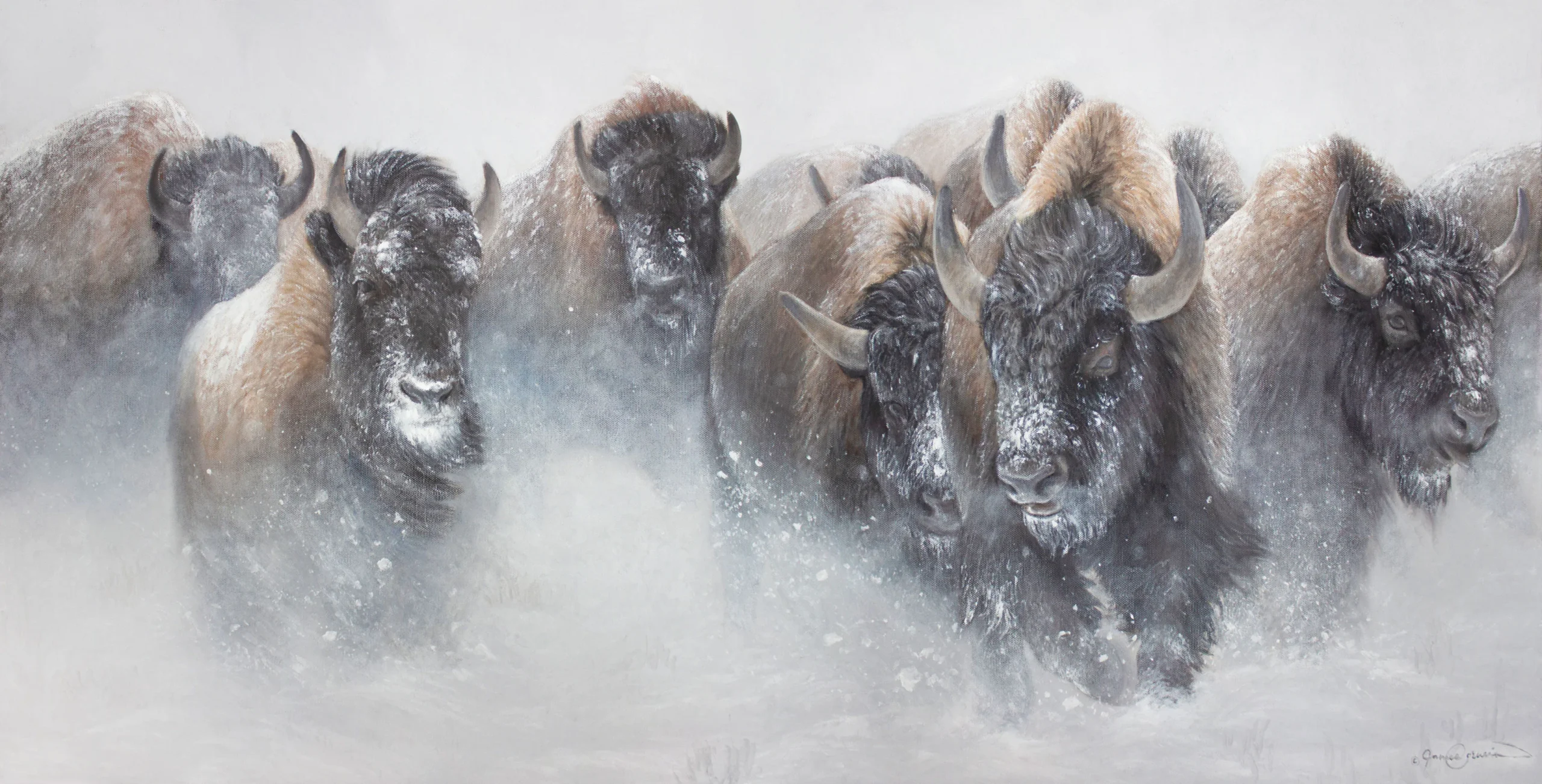 The Thundering Herd – Buffalo – Limited Edition Giclee Canvas Print by James Corwin