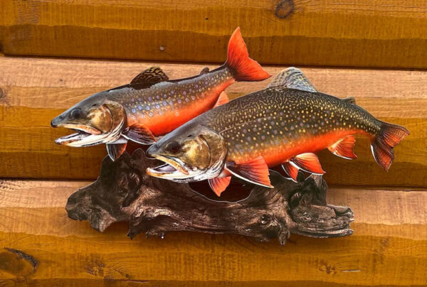 Brook Trout Replica Wall Art Lake Home Decor