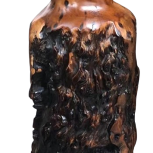 Burl Wood Vase