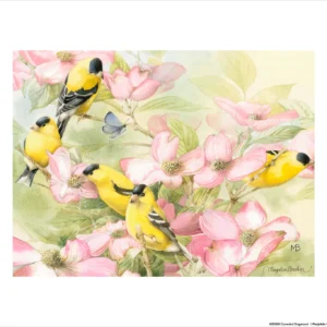 Crowded Dogwood - Goldfinches - 9″ x 12″ Art Print