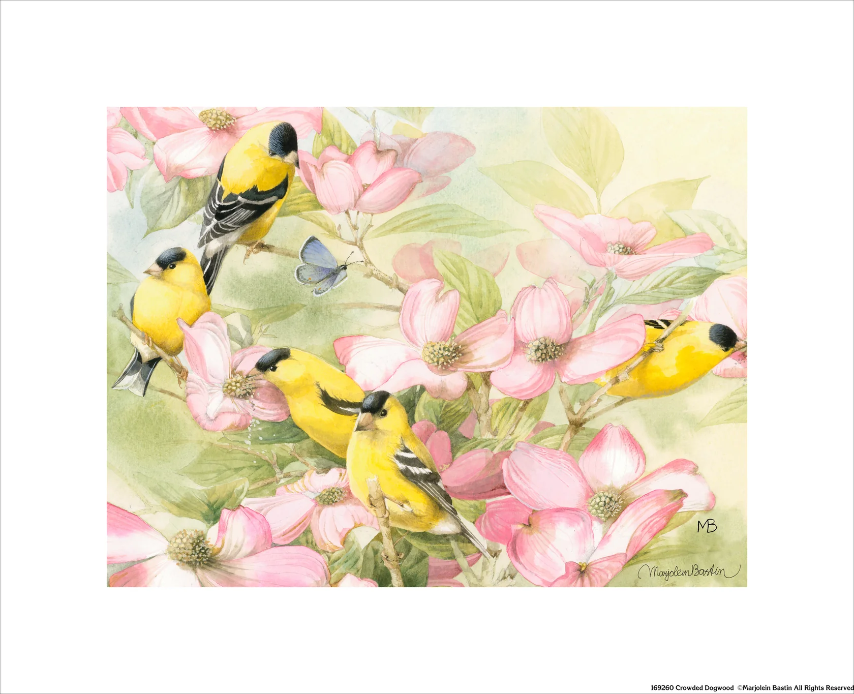 Crowded Dogwood Art Prints