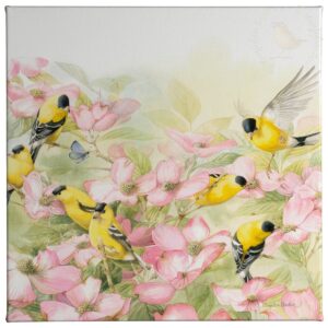 Crowded Dogwood - Goldfinches - 14" x 14" Gallery Wrapped Canvas